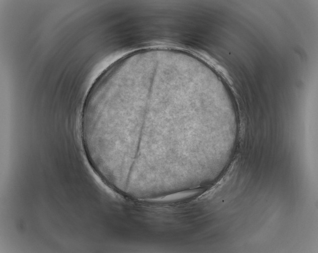 X0000112401239200909251429