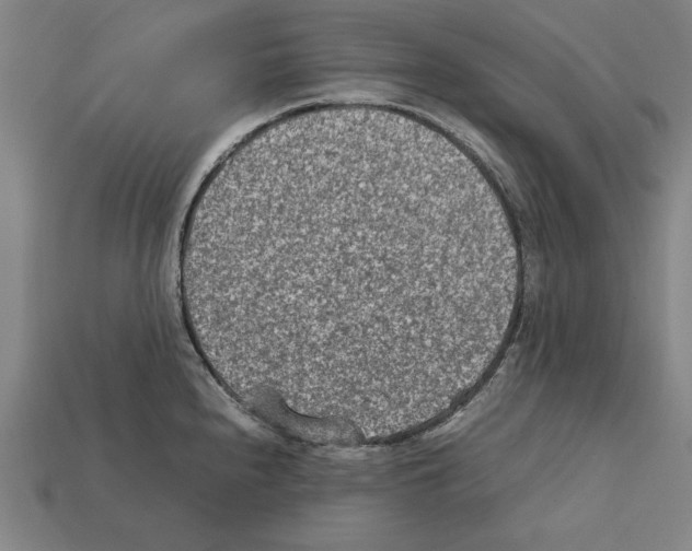 X0000112401240200909251429