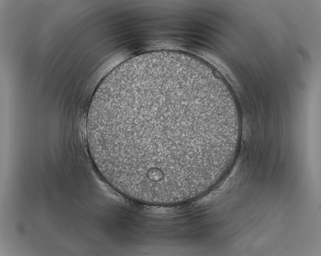 X0000112401241200909251429