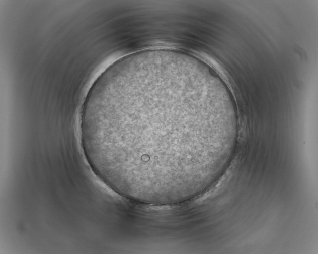 X0000112401243200909251429