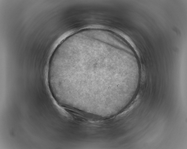 X0000112401245200909251429