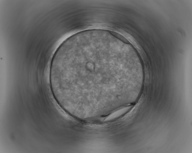 X0000112401246200909251429