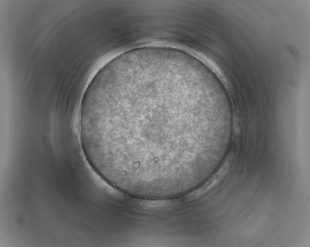 X0000112401247200909251429