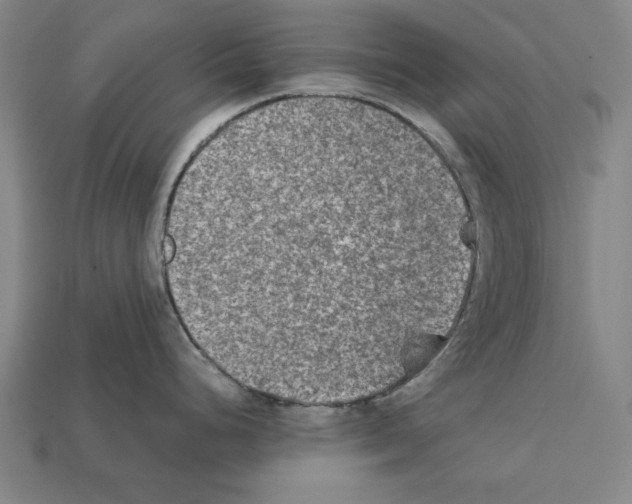 X0000112401248200909251429