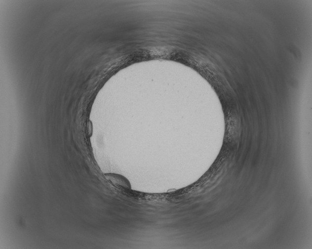 X0000112401249200909251429