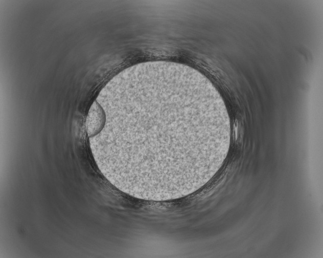 X0000112401251200909251429