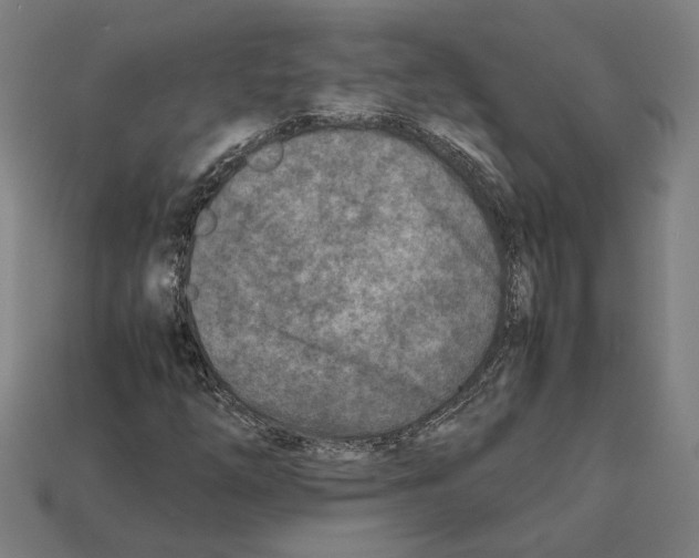 X0000112401254200909251429