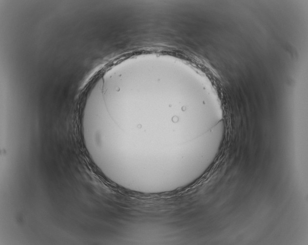 X0000112401256200909251428