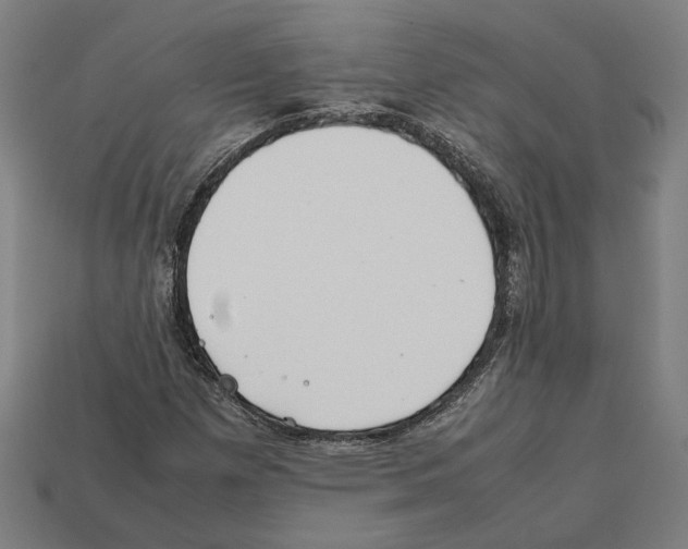X0000112401257200909251428