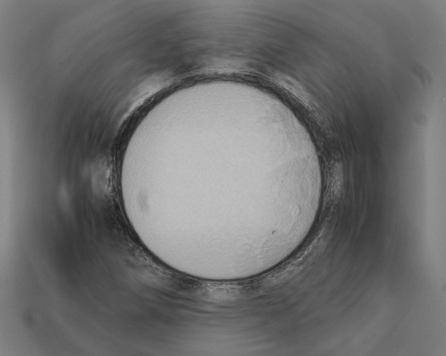 X0000112401258200909251428