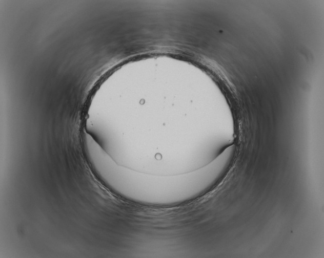 X0000112401260200909251428