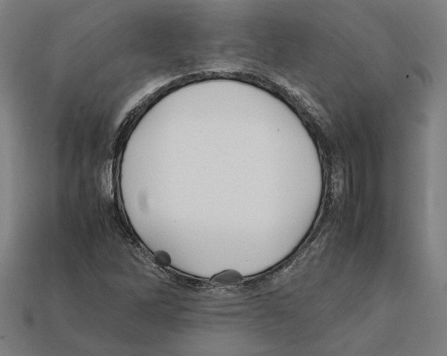 X0000112401262200909251428