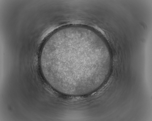 X0000112401263200909251428