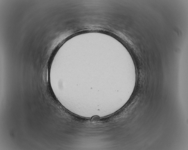 X0000112401269200909251428