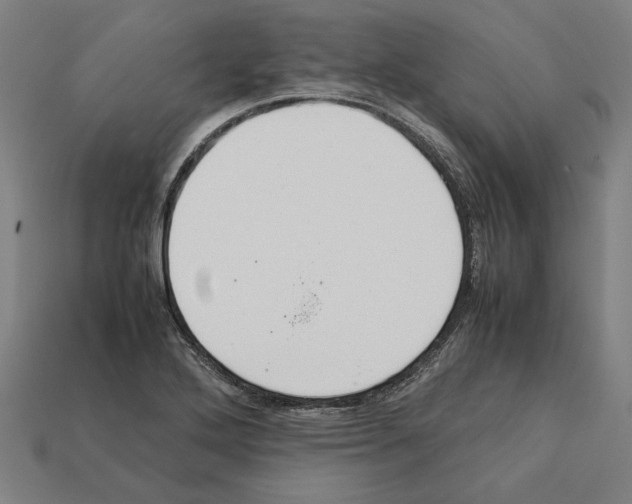 X0000112401272200909251428