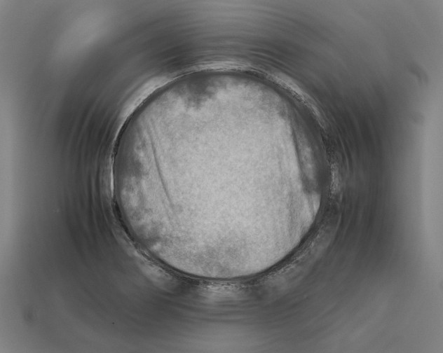 X0000112401274200909251428