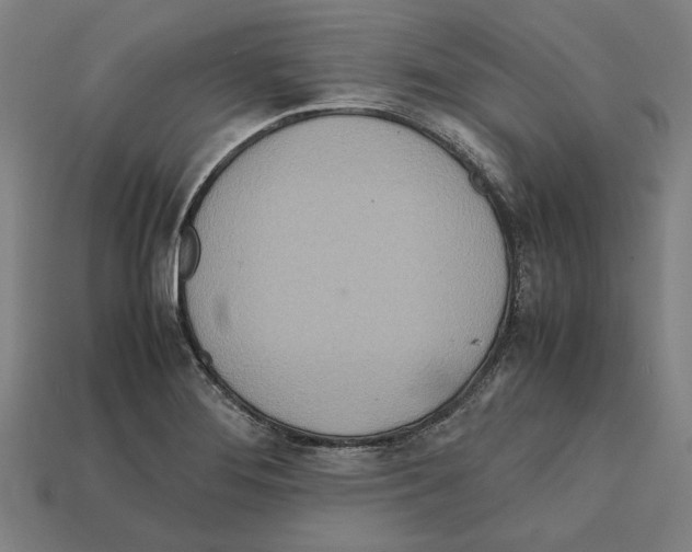 X0000112401276200909251428