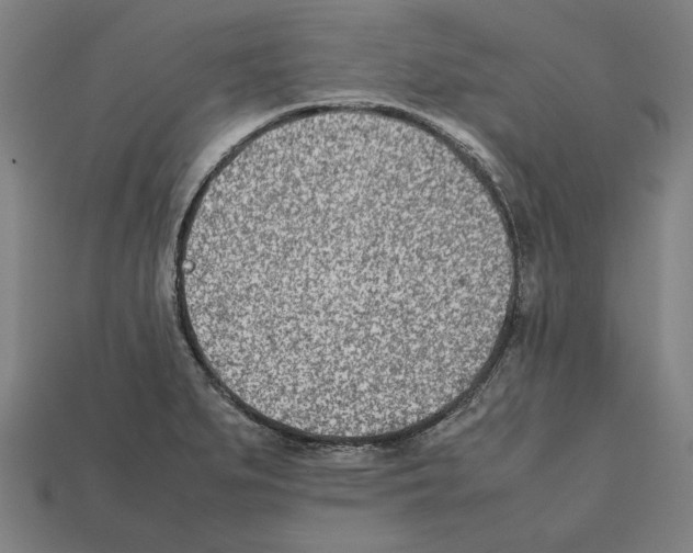 X0000112401279200909251428