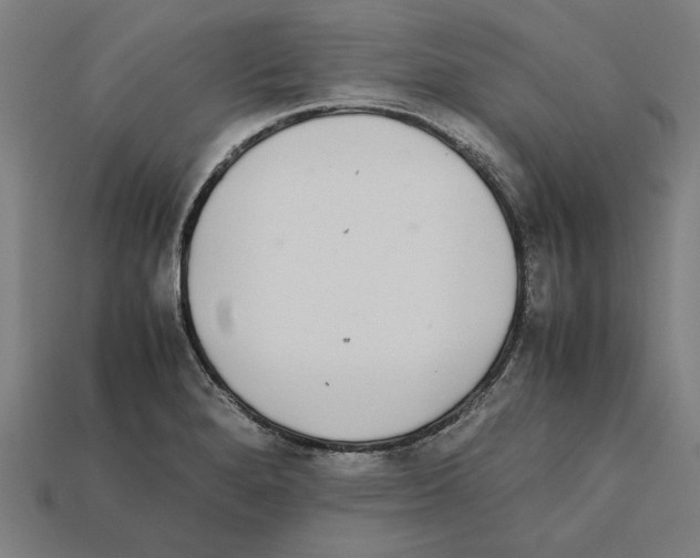 X0000112401280200909251428