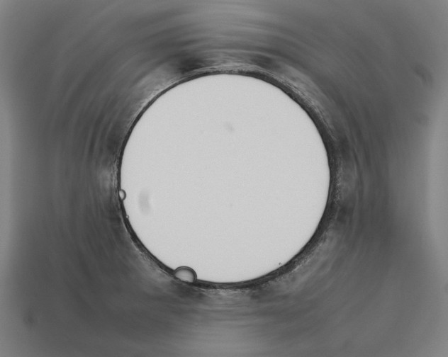 X0000112401281200909251428