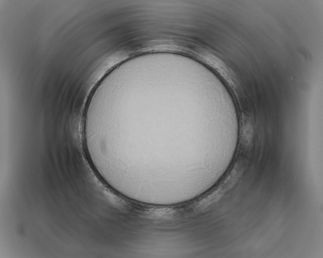 X0000112401282200909251428
