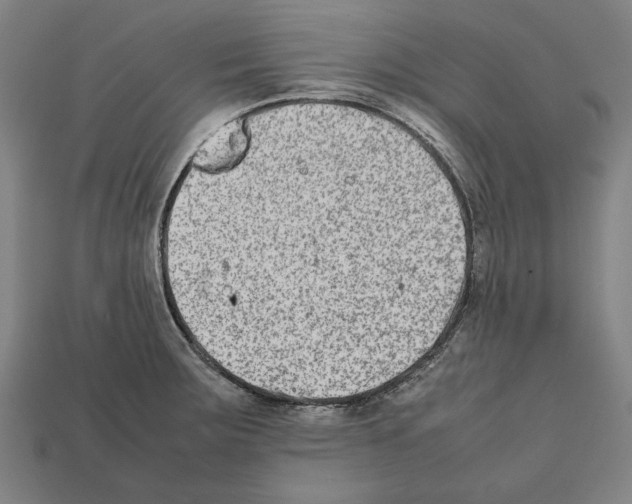 X0000112401283200909251428