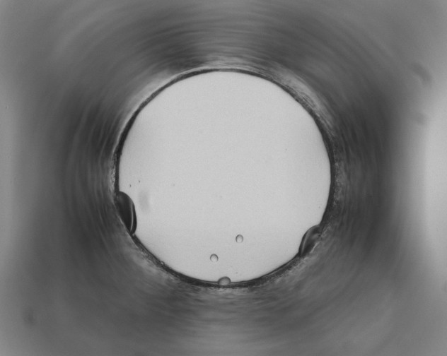 X0000112401284200909251428