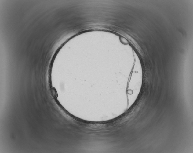 X0000112401285200909251428