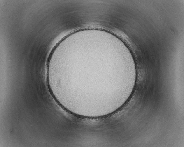 X0000112401286200909251428