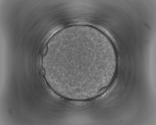 X0000112401289200909251428
