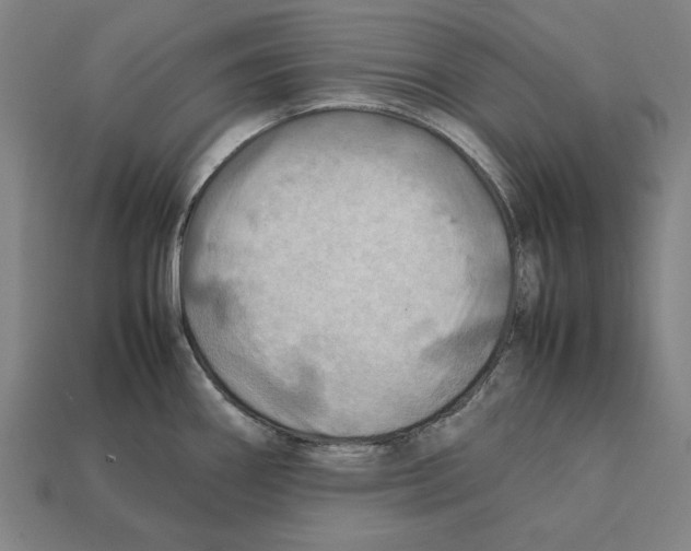 X0000112401290200909251428