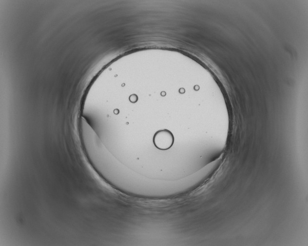 X0000112401293200909251428