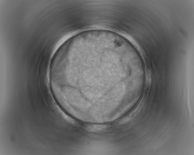 X0000112401294200909251428