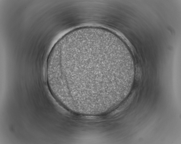 X0000112401295200909251428