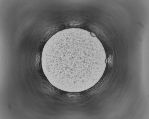 X0000112401299200909251427