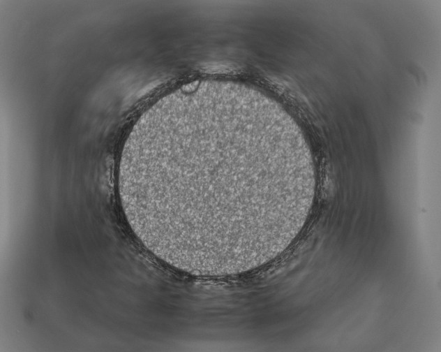 X0000112401301200909251427
