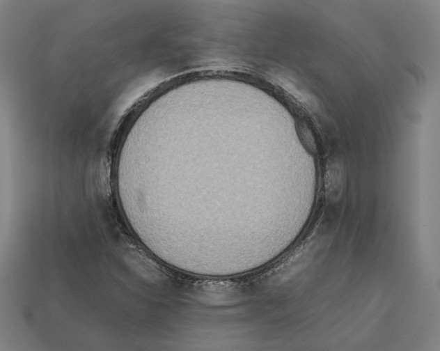 X0000112401310200909251427