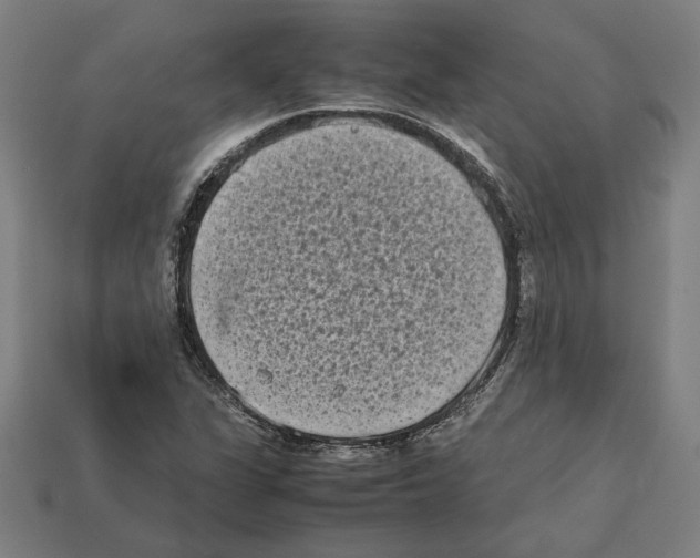 X0000112401311200909251427