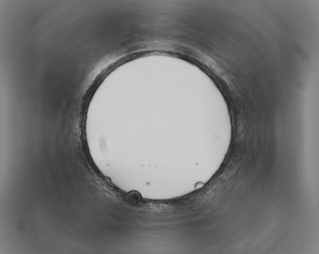 X0000112401312200909251427