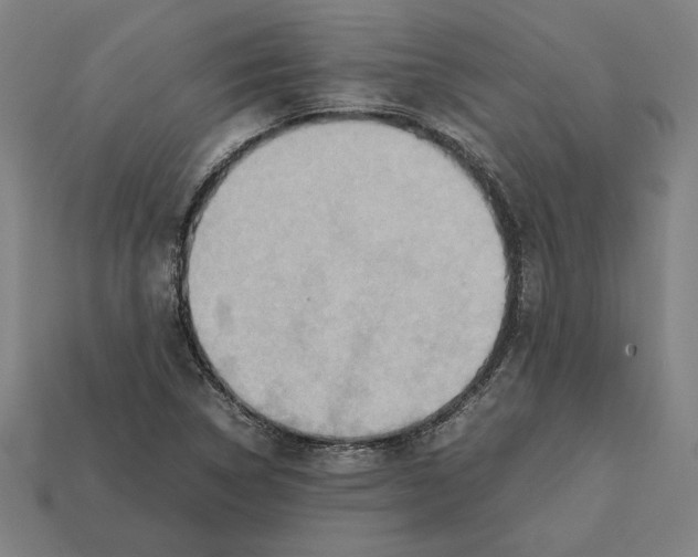 X0000112401314200909251427