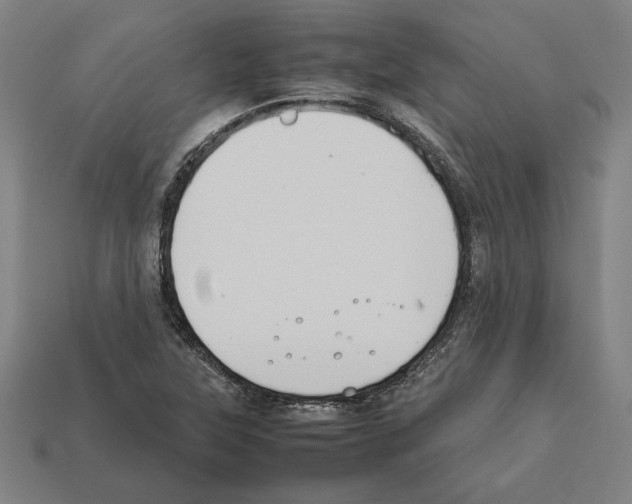 X0000112401315200909251427