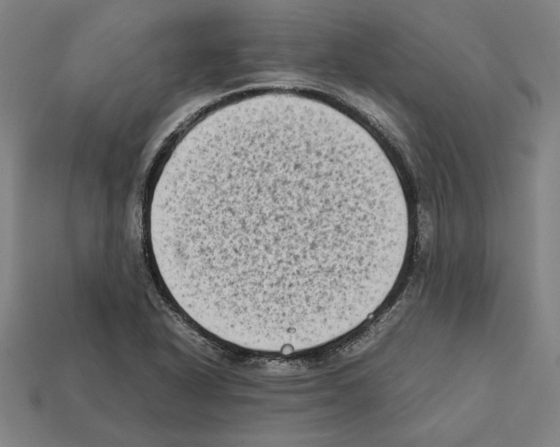 X0000112401318200909251427