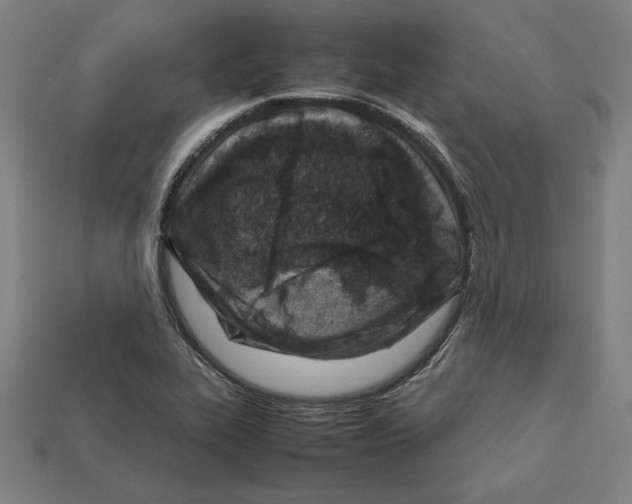 X0000112401319200909251427