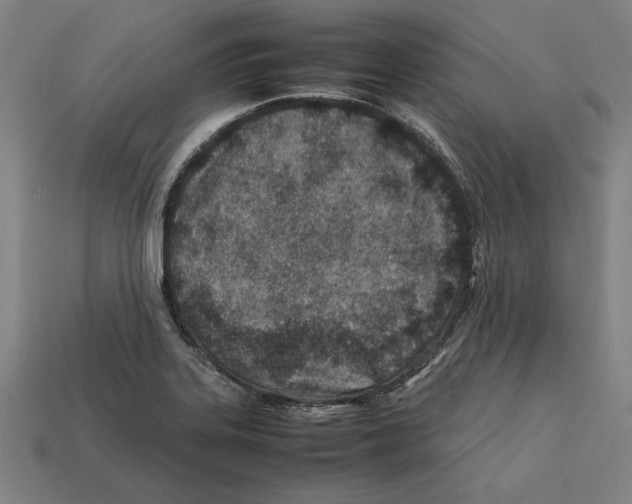 X0000112401323200909251428