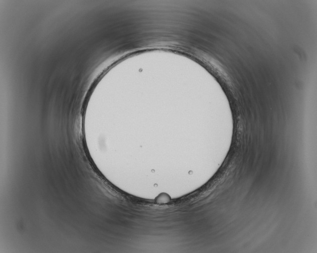 X0000112401324200909251428