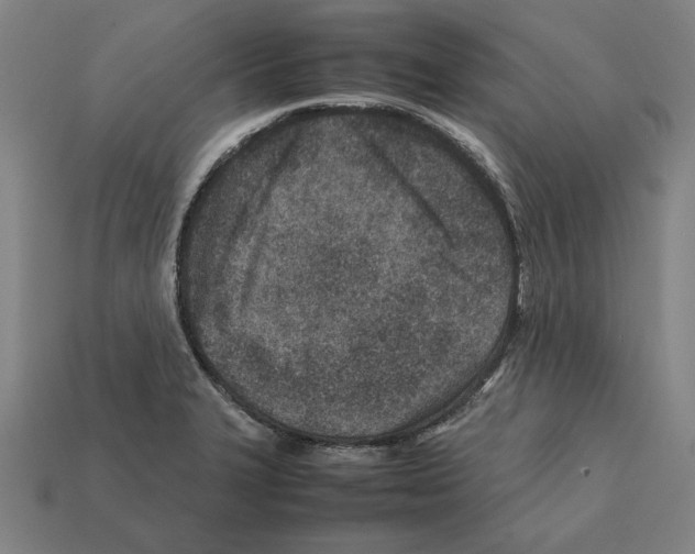 X0000112401327200909251428