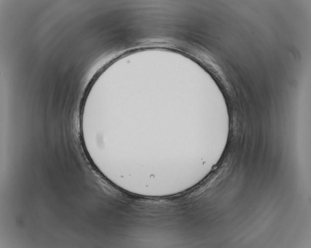 X0000112401328200909251428