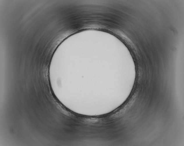 X0000112401329200909251428