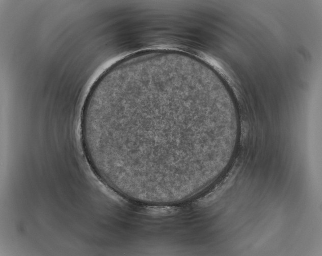 X0000112401331200909251428