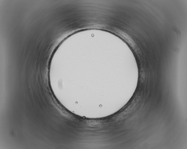 X0000112401332200909251428
